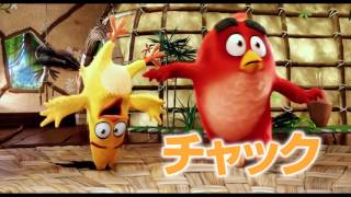 The Angry Birds Movie   Japan tv spot