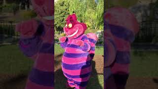The Cheshire Cat Plays Peekaboo With Guests - Disneyland 102421 In Front Of Tomorrowland