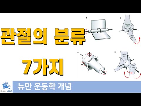 윤활관절의 분류 (synovial joint) | 뉴만 운동학 개념정리 | 힐링무브