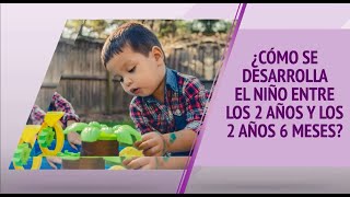 ¿Cómo se desarrolla el niño entre los 2 años y los 2 años 6 meses? screenshot 5