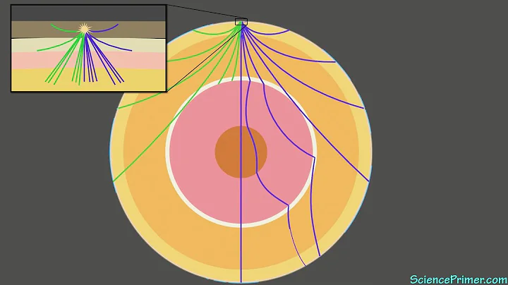 image for The Science of Earthquakes: Seismology and the Study of Earth's Interior