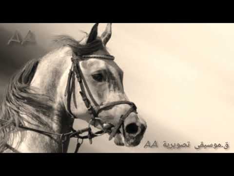 اجمل موسيقى بدوية حزينة 13 نظرة      