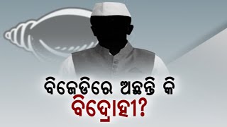 VK Pandian's Opinion On BJP's Strategy In Odisha | BJP Targets BJD, Saying 'Who's Shinde In BJD'