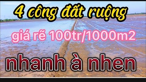 kẹt tiền bán gấp 4 công đất ruộng mặt tiền đường dal,giá ngộp,100tr/1000m2,Gò quao,Kiên Giang