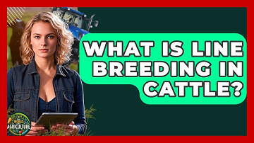 What Is Line Breeding In Cattle? - The World of Agriculture