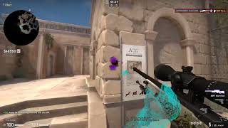Anubis bugs