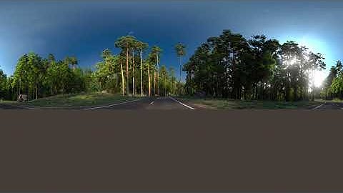 Forest Pack Ecosystem Tutorial (result)