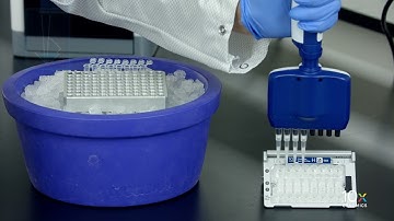 Single Cell ATAC Protocol v1.1 | Transfer GEMs