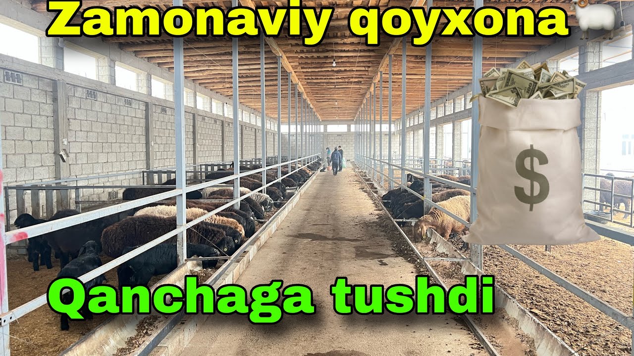 Zamonaviy qoyxona qanchaga bitirilgan