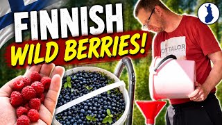 DAY 15 of 30 PICKING ANTIOXIDANTS Raspberries Bilberries