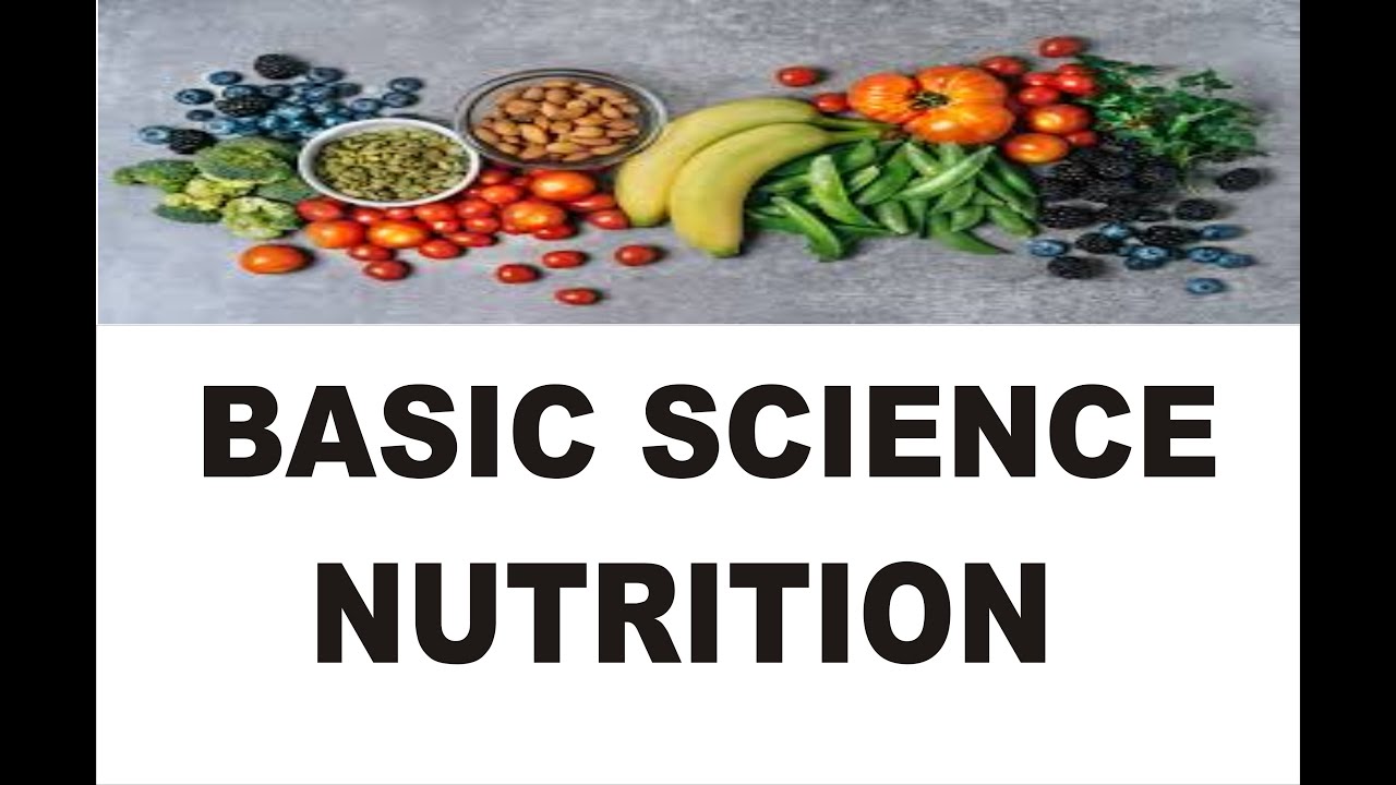 ZOOM BASIC SCIENCE CLASS BY SAMUEL BABATUNDE TOPIC NUTRITION - YouTube