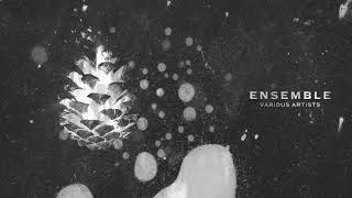 Kora - Theia | Ensemble [Saisons Musique]