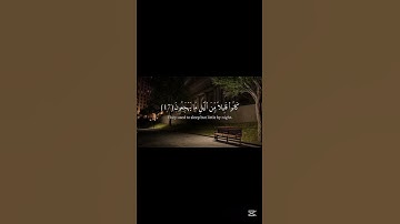 قرآن كريم بصوت جميل للقارئ سعود الشريم #سعود_الشريم #قرآن_كريم