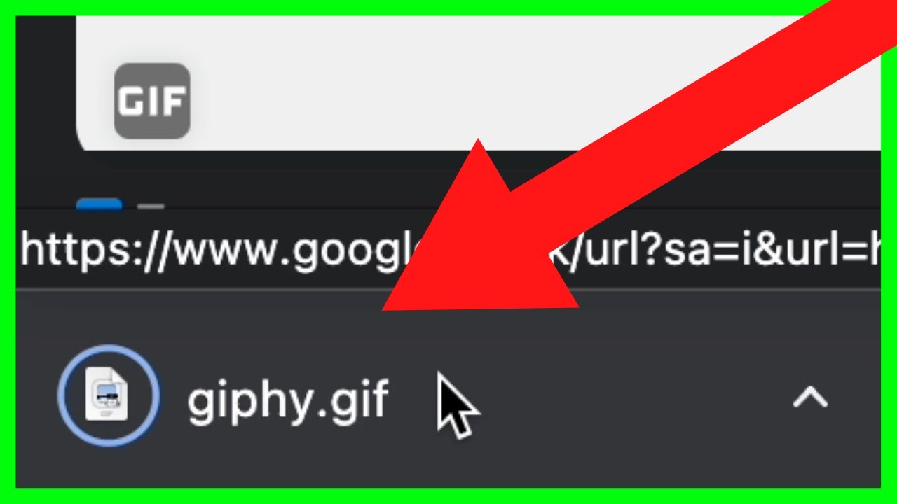 How To Download GIF Files From Website