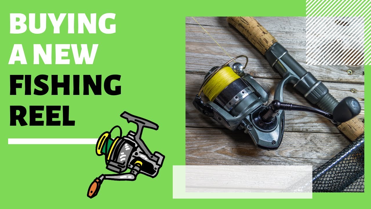 buying a fishing reel What to Look For When Buying a New Fishing Reel?