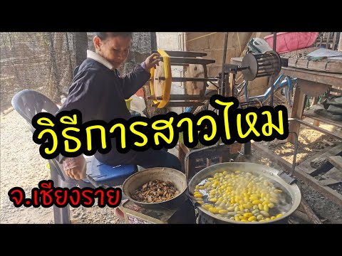 วิธีการสาวไหม..อีสานสายเหนือ   #ผ้าไหม #ตัวไหม