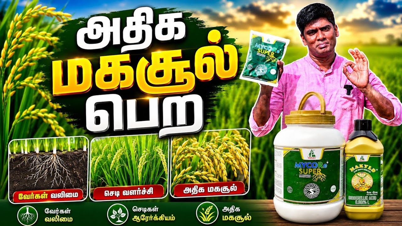 Latest Title & Thumbnail
