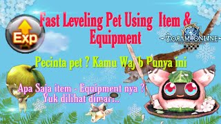 Toram Online Fast Leveling Pet With Item & Equipment