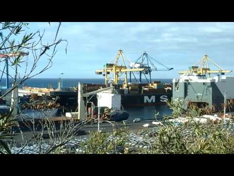 PORT EST RÉUNION,Nordic Hong Kong,HH.South,Msc.Ilona,Trapper,Daranee Daree,8/09/2016.
