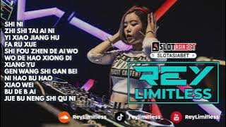 Chinese DJ Remix 2024 Shi Ni X Zhi Shi Tai Ai Ni X Yi Xiao Jiang Hu