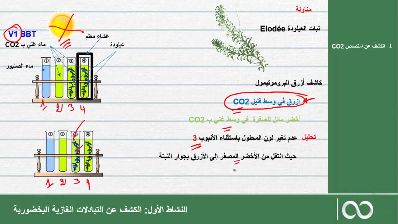 السنة اولى باكالوريا |  الحصة 6 : الكشف عن التبادلات الغازية اليخضورية