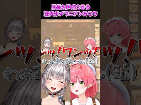 【さくらみこ切り抜き】団長を困惑させる狂犬ポメラニアンみこち【ホロライブ】 #shorts #さくらみこ #白銀ノエル #hololive #ホロライブ #ショート