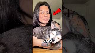 Rahasia Mengerikan di Balik Anjing Ini 😨🐶