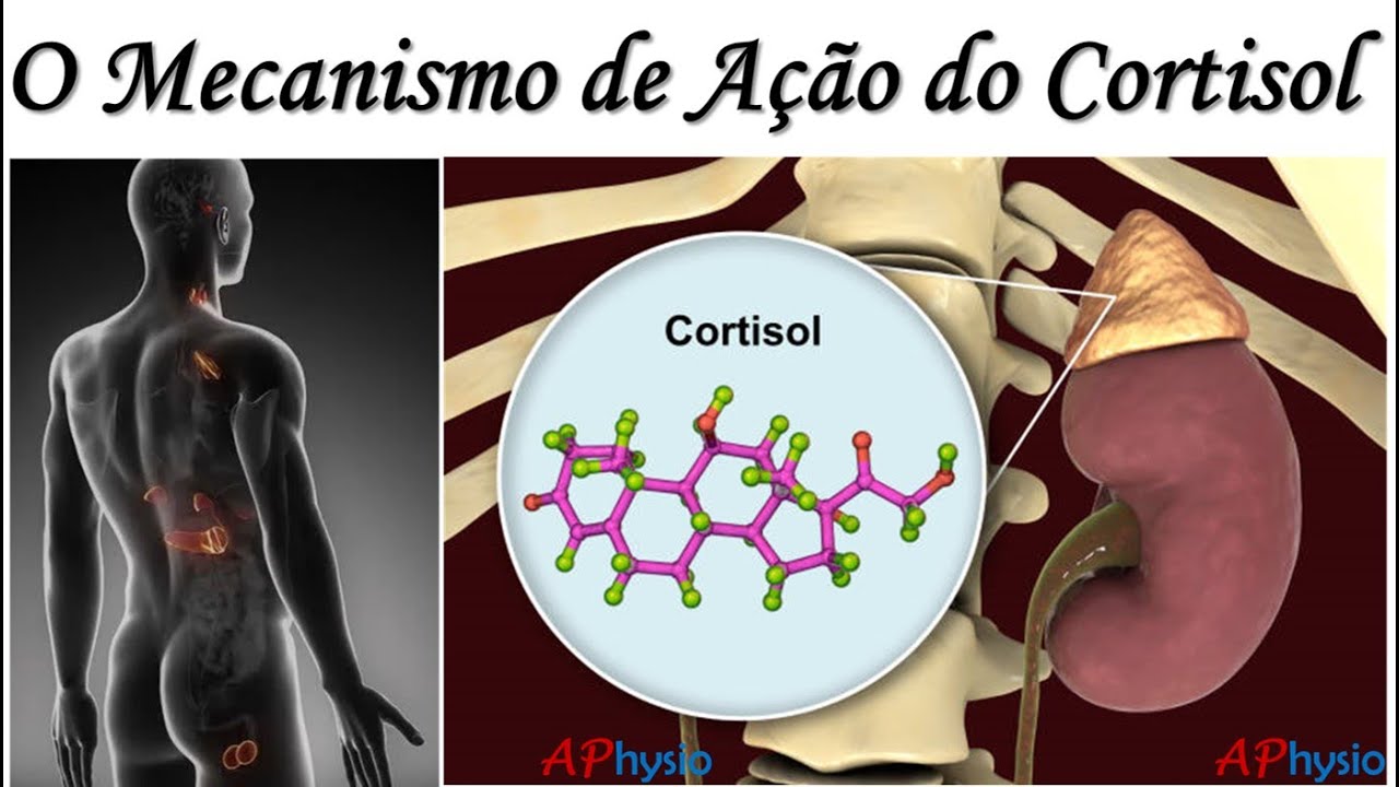 Mecanismo De Ação Corticoides - RETOEDU
