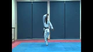 Poomsae 10 KeumGang