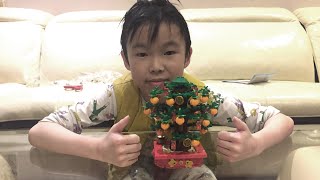 Building the Lego Chinese Lunar New Year Money Tree 40648