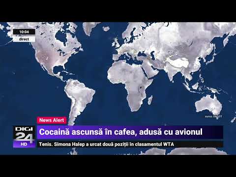 A fost descoperit primul laborator de extragere a cocainei din România