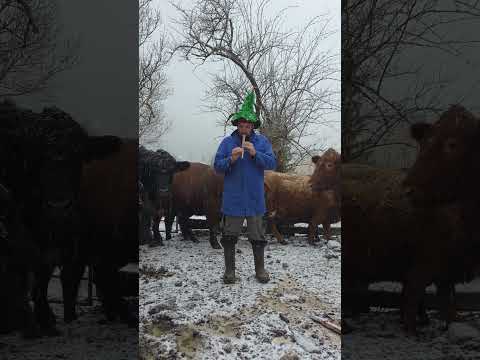 Frohe Weihnachten