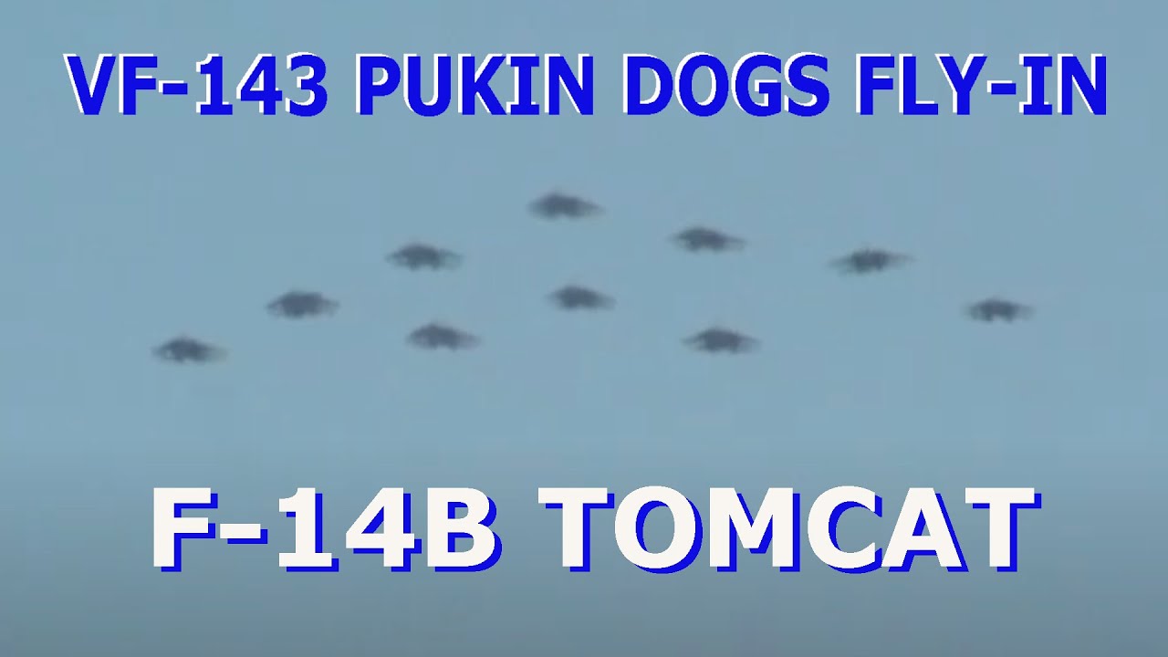 VF-143 PUKIN DOGS FLY-IN - YouTube
