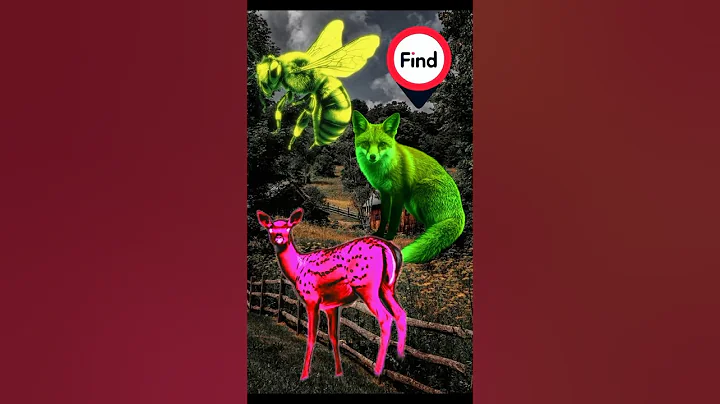Only 1% Can Find All Hidden Animals! 👀 #HiddenAnimals #ViralChallenge #challenge #nature #viralvideo