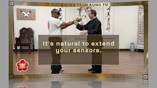 PREVIEW: Wayne Belonoha - Workshop 18: Blindfold Chi Sao
