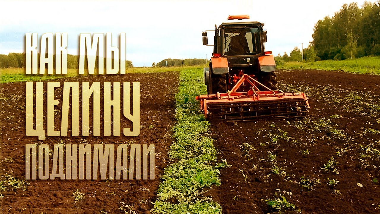 Как мы целину поднимали | Фермерский рассказ | #чеснок #farming #деревня #сельскоехозяйство
