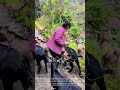 Smart Herding Hack: Using Woven Bamboo Muzzles for Goats
