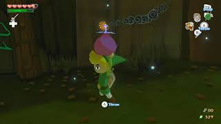 Wind Waker Plant Glitch