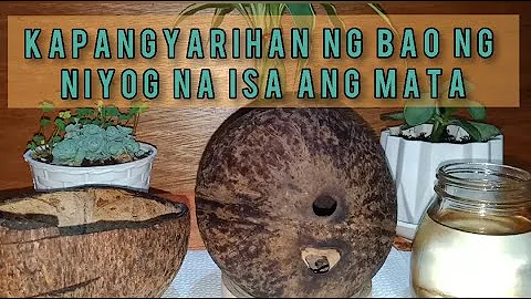 NIYOG NA ISA ANG MATA-KAPANGYARIH...  NG NIYOG/BAO...