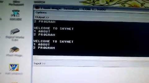 Serial Communication by 8051