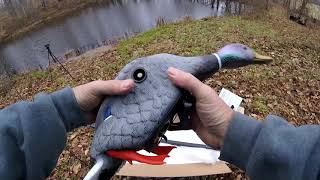 MOJO Butt Up Rippler and Mini Mallard Drake