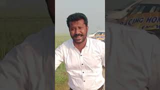 RHPC Delhi 2nd Homar Pegion Race 22-02-2026 275Km from 200 GPS Delhi ki kabutarbazi 