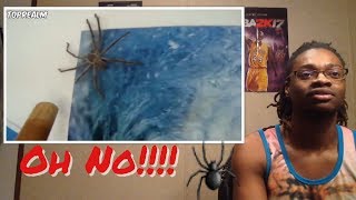 Try Not To Look Away Challenge ( Spider Edition ) *99% Fail - Reaction