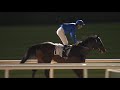 Race 3 UAE 2000 Guineas Sponsored By Al Naboodah Ashok Leyland Partnership