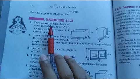 General Mathematics Class 8 Exercise 11.3