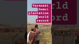 Varanasi Domri plantation world record #shorts #shortvideo #short #shortsfeed