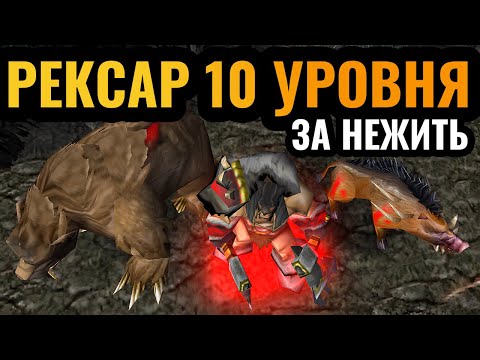 МЕДВЕДИ И СКЕЛЕТЫ