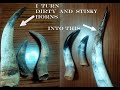 How to Clean Dirty and Stinky Cow Horns - Tutorial - InkArt