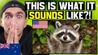 New Zealand Dad Hears North American Animal Sounds for the First Time... (I'M SHOCKED)