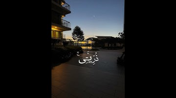 الشيخ المنشاوي - من سورة إبراهيم#قرآن #قران_كريم#اسلام#ترند#تلاوة_خاشعة#quran#islam#i#trending#reels
